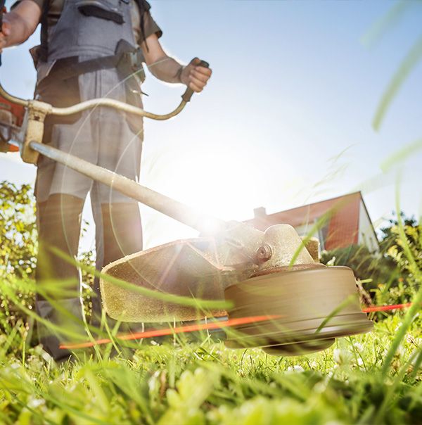 Débrousailleuse et autre outillage professionnel pour travaux extérieurs, en location à Châteaudun